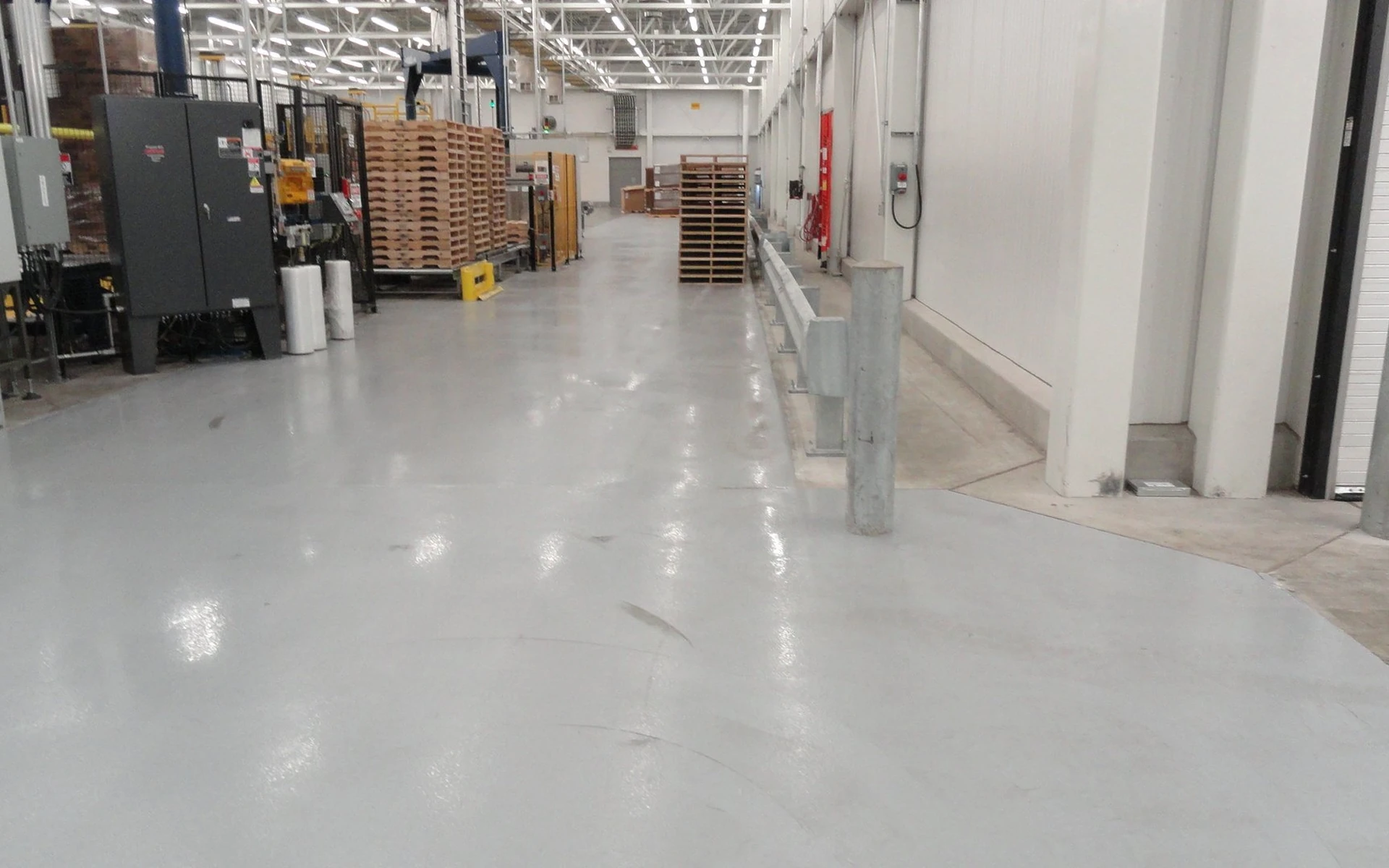 Floor coating services in Wellington